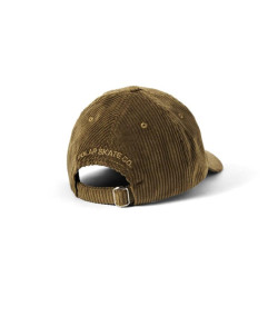Sai Polar Skate Cap