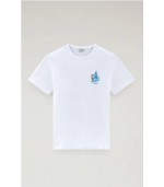 Imagen Producto
