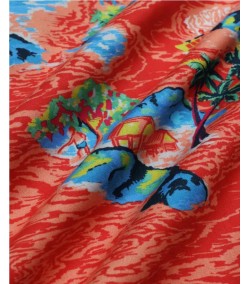 Far Afield Camicia True Romance