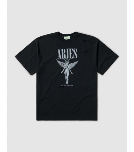 Aries Destroyed Nirvana SS...